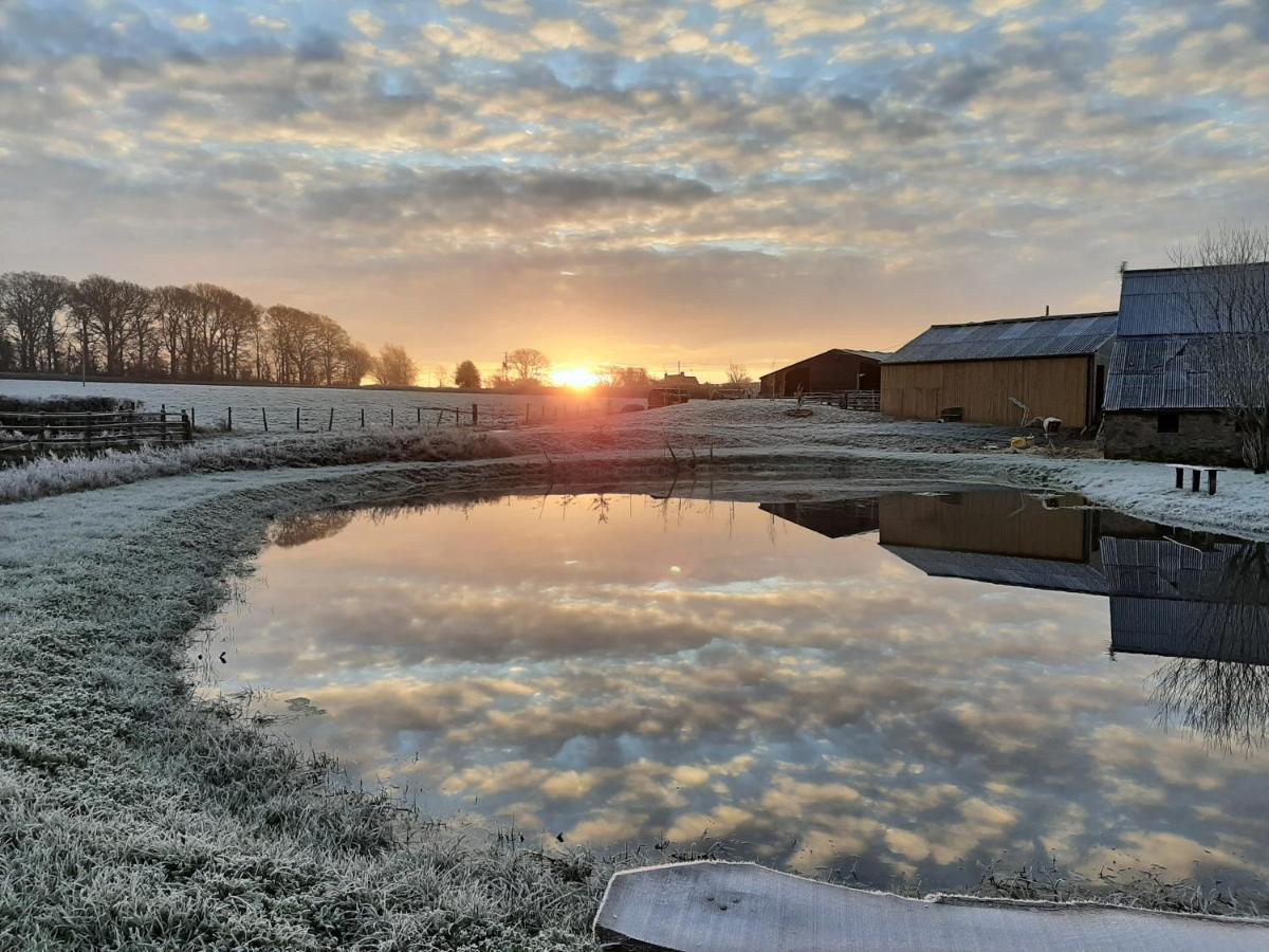 Shave Farm Bauernhof *